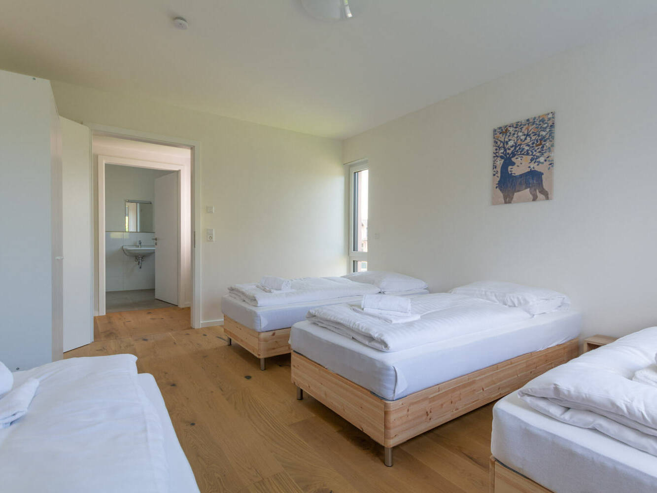 Monteurzimmer, Monteurwohnung, Mieten, Buchen, NRW, 8b83965ee77ceeee15e6968fbefc54be5dc9ba0f18f990bc4066f680fb3a1c06-2,