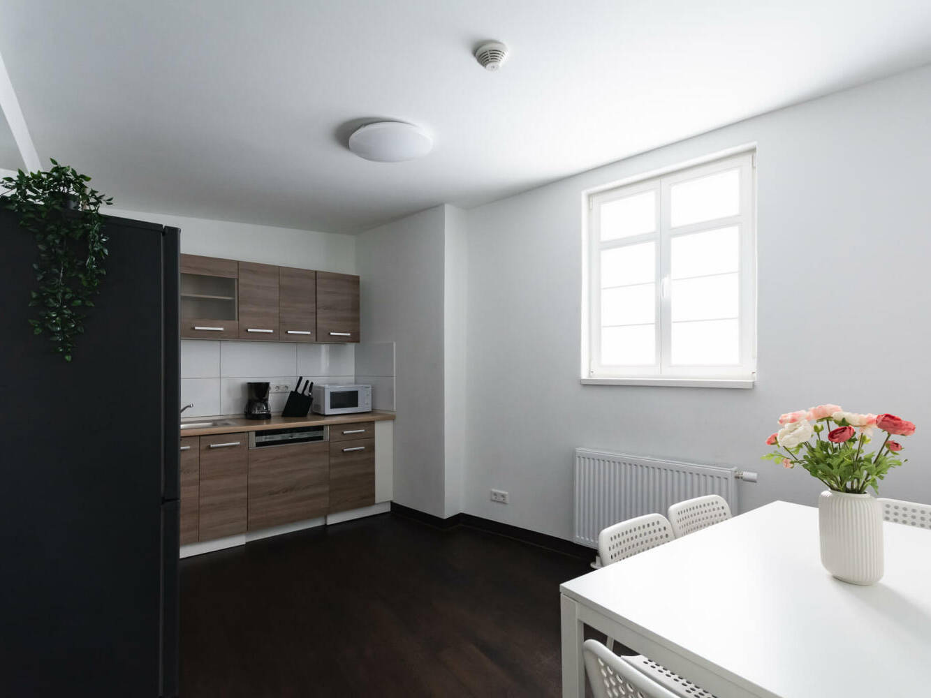 Monteurzimmer, Monteurwohnung, Mieten, Buchen, NRW, 92d9678166526fd4053ae1bd90b129e7d3c1eaf7d3dc07748b7bf83a8336246c-1,